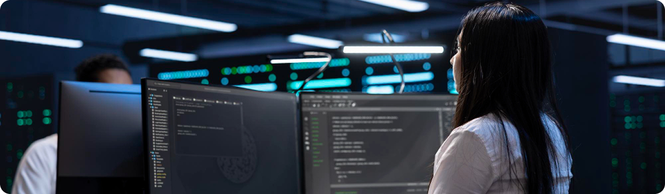 Development Team Working